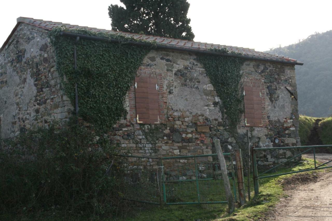 Farmhouse Tuscany Montecastelli Pisano Extérieur photo