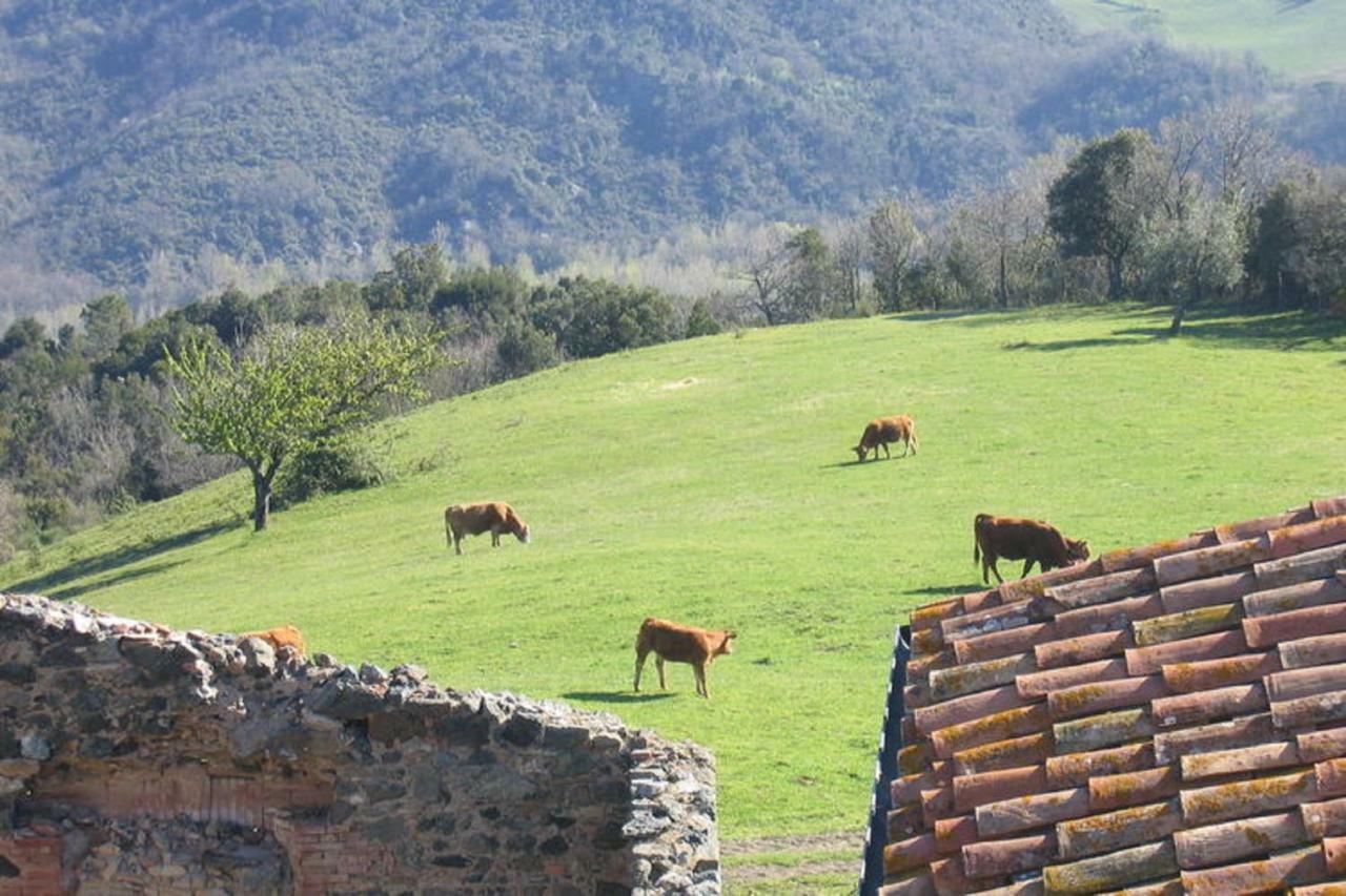 Farmhouse Tuscany Montecastelli Pisano Extérieur photo